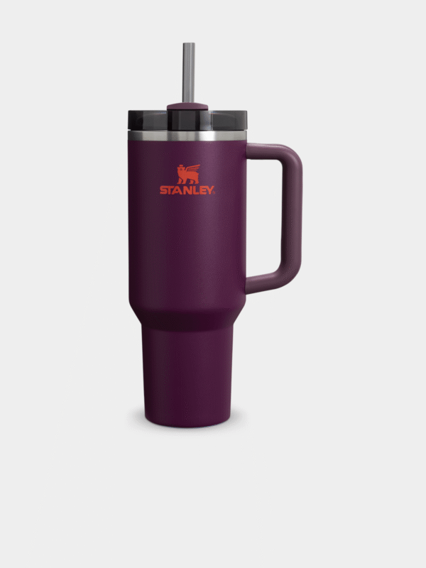 Stanley H2.O Flow State Plum 1.18L Cup