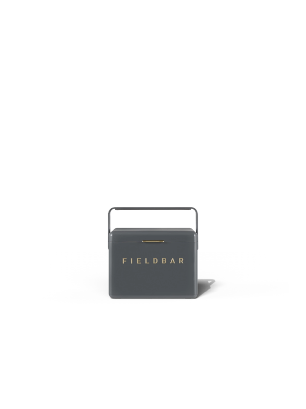 Fieldbar 4L Mini Bar Cooler Box Oyster Grey